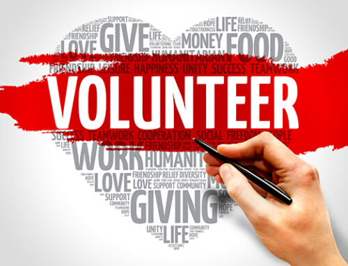 Get Involved: Volunteering in the Cape Fear Area
