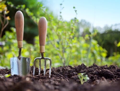 Gardening: April Checklist