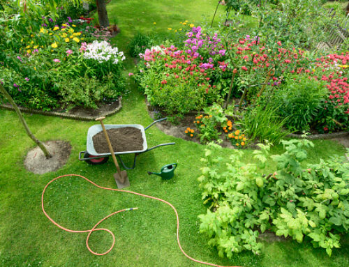 Gardening: May Checklist