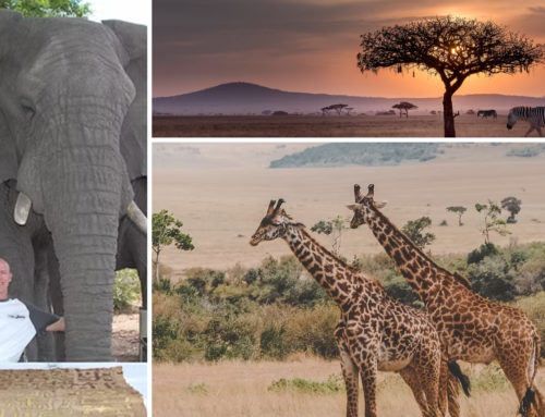 From the Bluffs to the Bush: A Life of Adventure