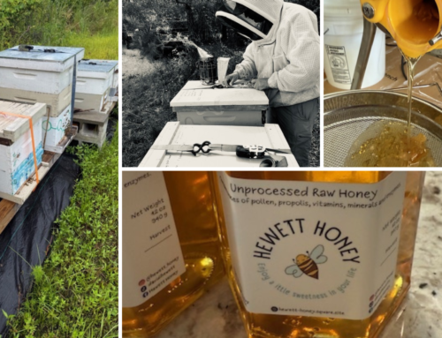 Sweet Life at The Bluffs: David and Caroline’s Story