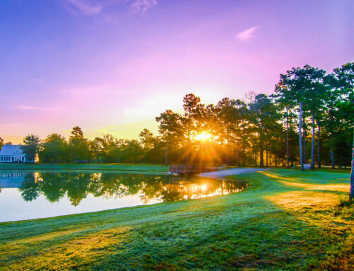 NC Property Taxes for Retirees: A Plain-English Guide