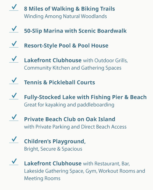 checklist-1