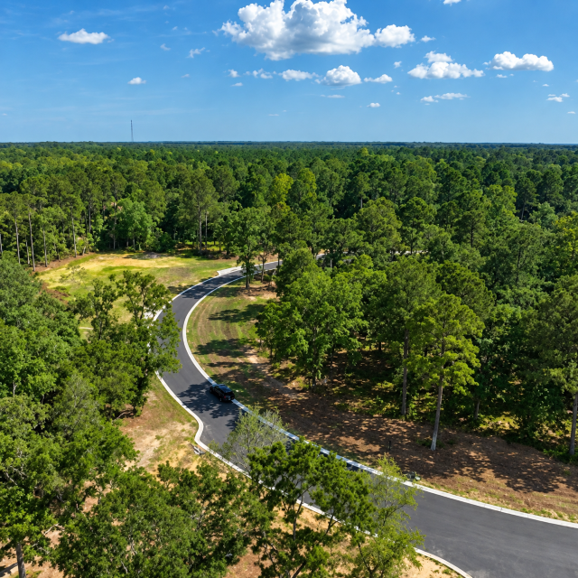 ChatGPT Image Sep 18, 2026, 11_09_22 AM TESTTT Ariel view of curved road